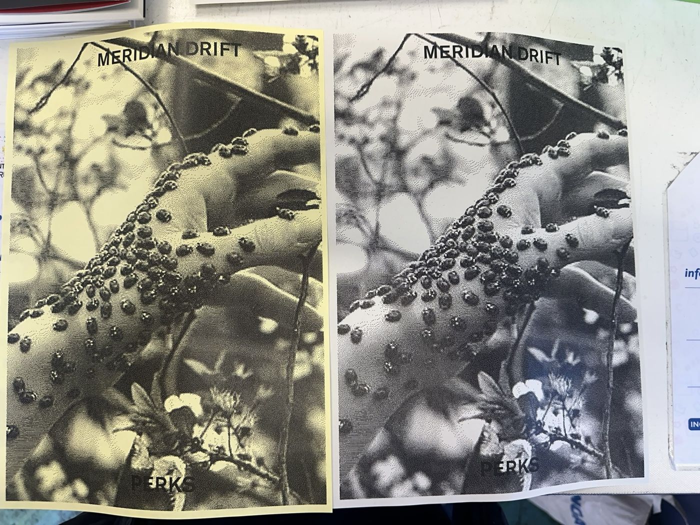 two printed covers of meridian drift, on yellow and white paper